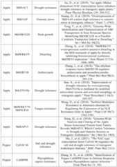 Figure PCTCN2022090268-appb-000025