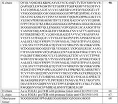 Figure imgf000117_0001