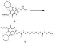 Figure imgf000067_0001