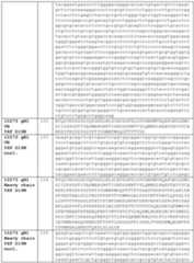 Figure imgf000078_0001