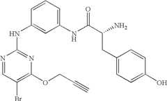 Figure US07504410-20090317-C00103