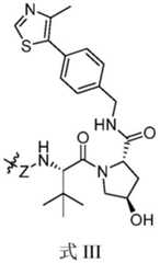 Figure GDA0003276334280000161