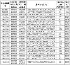Figure BDA0003282506760001512