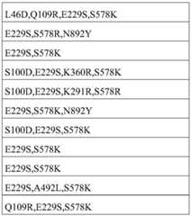 Figure BDA0002388714120000261