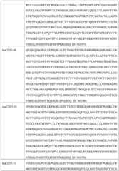 Figure GDA0002332994560000381