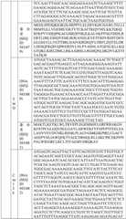 Figure BDA0004033970230007221