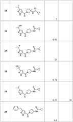 Figure BDA0001316473010001671