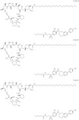 Figure US11364300-20220621-C00456