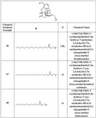 Figure imgf000031_0001