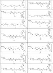 Figure PCTCN2022073822-appb-000178