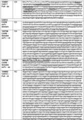 Figure imgf000167_0001