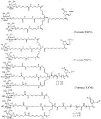 Figure imgf000078_0001
