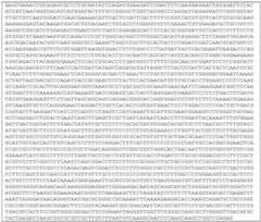 Figure imgf000089_0002