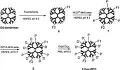 Figure BSA00000284971100041