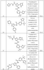 Figure imgf000019_0001