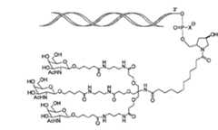 Figure 105140410-A0305-02-0024-5
