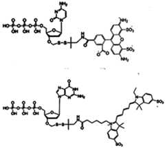 Figure imgf000344_0001
