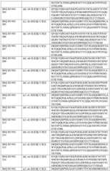 Figure BDA0003429348370000931