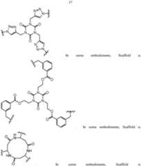 Figure imgf000038_0001