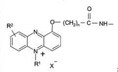 Figure FSB00000994929500021