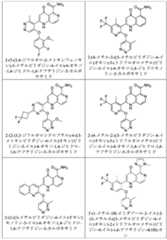 Figure 2025513455000102