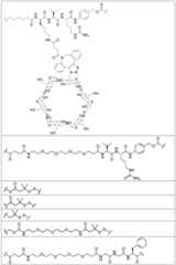 Figure FDA0002889616210000091