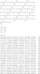 Figure IDA0000079231860000781