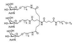 Figure 2023012548000169