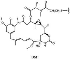 Figure imgf000036_0002