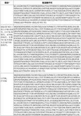 Figure BDA0003627552160000961