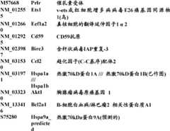 Figure BDA0000057170160002121