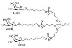 Figure 2023113843000177