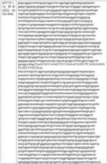 Figure BDA0004033970230004201