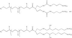 Figure US06908955-20050621-C00022