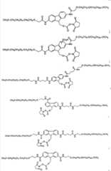 Figure G2007800482799D00201