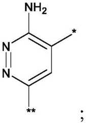 Figure FDA0004113777300000183