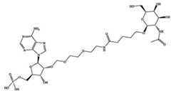 Figure BDA0003702321910000632