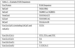 Figure imgf000104_0001