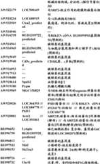 Figure BDA0000057170160000421