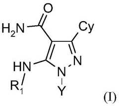 Figure FDA0002673094520000011