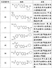 Figure G2008800254068D00401