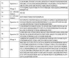 Figure imgf000047_0001