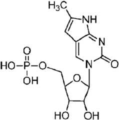 Figure imgf000015_0001