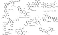 Figure imgf000007_0002