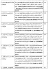 Figure 109130857-A0202-12-0115-130