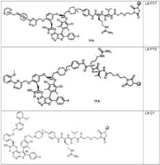 Figure imgf000093_0001