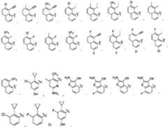 Figure PCTCN2022124111-appb-000017