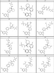 Figure BDA0000106649180000201