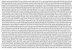 Figure imgf000086_0001