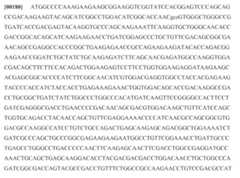 Figure imgf000503_0001